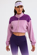 Heliotrope Purple