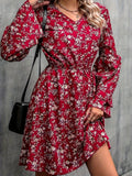 Printed V-Neck Long Sleeve Mini Dress