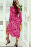 Printed Long Sleeve Midi Dress